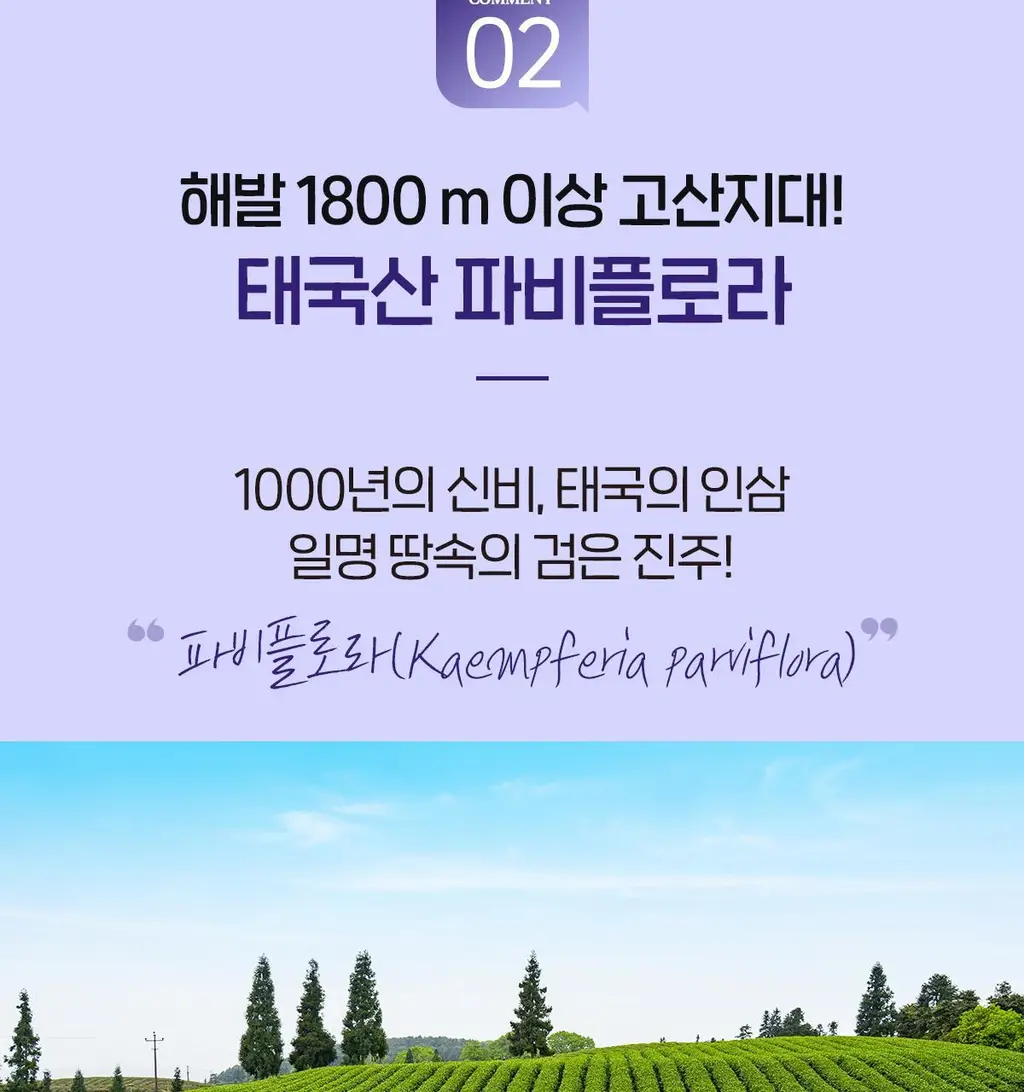 [올영단독] 닥터린 파비플로라 알파CD 프리미엄 10g X 30포 (1개월분) 상세페이지 9